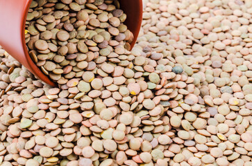 Dried brown Lentils in cup.