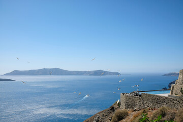 Seagulls sitting next to a swimming pool and panoramic view of the aegean sea in Santorini