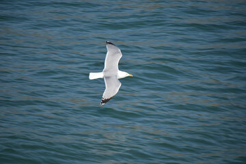 vol au dessus de la mer