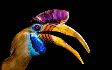 Closeup shot of knobbed hornbill isolated on black background © Michael Ceriel Brand/Wirestock Creators