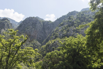 Kotor bay Montenegro Adriatic sea Europe