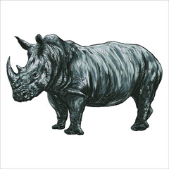 Fototapeta premium A rhinoceros illustration of a big African rhino with large horns and wrinkled skin and is an endangered wild animal. This hand drawn pencil sketch is isolated on white background.
