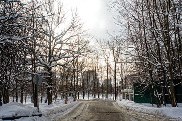 road on the outskirts of the park