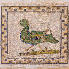 Mosaic of a mallard duck on the floor of the House of the Birds in Italica, an archaeological site at the outskirts of Seville