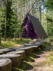 Holiday home in the woods, green cabin, holiday destinations concept.