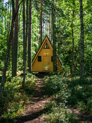 Holiday home in the woods, green cabin, holiday destinations concept.