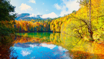 Autumn forest landscape reflection on the water with wooden pier - Autumn landscape in (seven lakes) Yedigoller Park Bolu, Turkey