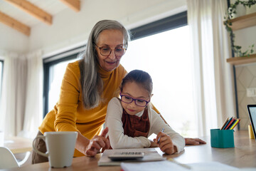 Small girl with senior grandmother doing homework at home.