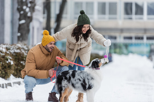 full length of happy young couple in winter jackets and hats playing with australian shepherd dog.