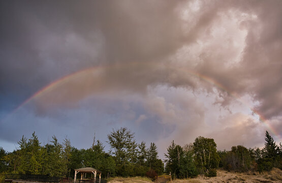 Beautiful rainbow over the forest
