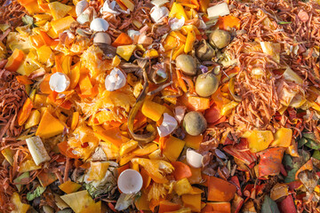 Food waste in a compost heap as fertilizer for the garden. Composting vegetable scraps in the backyard.