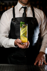 glass of cocktail with cucumber slices decorated with fresh mint in male hand