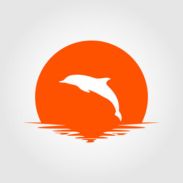 dolphin with sunset background vector design