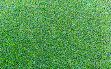 Fototapeta premium Green grass texture background and grass garden mockup concept