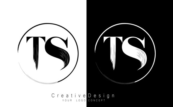 TS letter logo design template vector