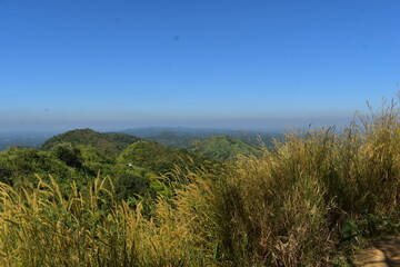 Fototapeta premium mountain in bangladesh 