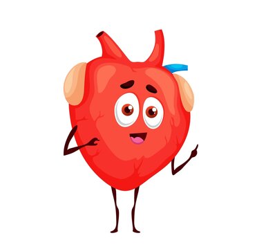 Human funny cartoon heart character of vector anatomy mascot or cardiology medicine emoji. Cute healthy heart personage talking and pointing finger, internal organ of cardiovascular system emoticon