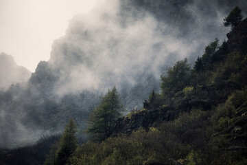 fog in the mountains