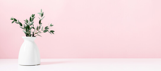 Eucalyptus in vase on pink background. banner