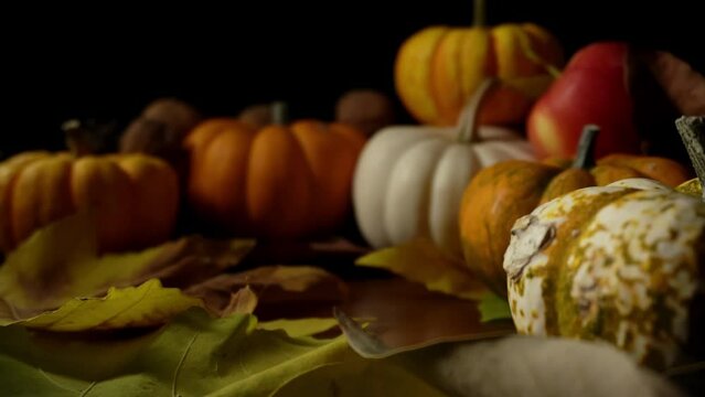 Macro footage with bokeh of autumn still life made of pumpkins and maple leaves on black background. The decoration for fall harvest festival. Ripe October vegetables and fruit. The rustic composition