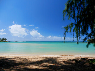 Obraz na płótnie Canvas ハワイ、オアフ島、晴天のカウェラベイビーチパーク