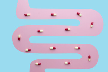 Creative idea of probiotics capsules or medicine pills absorbed in small intestine. Concept of digestive supplements, intestinal microflora and drug metabolism. Minimal style. - obrazy, fototapety, plakaty