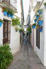 Fototapeta na wymiar The flower alley of Cordova on Andalusia, Spain
