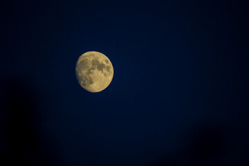 Beautiful textured yellow moon in a dark blue sky