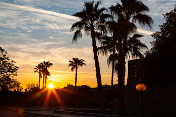 Morning fresh of sunrise on January 1, 2012 at Abu Simbel Village in Aswan, Upper Egypt.