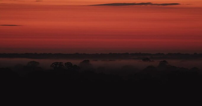 Vibrant orange sunset ends the day at Tambopata National Reserve. Tracking shot