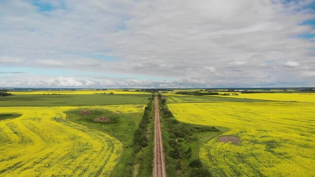 Aerial moving foreword above a single rail line cutting through fields of bright yellow canola.