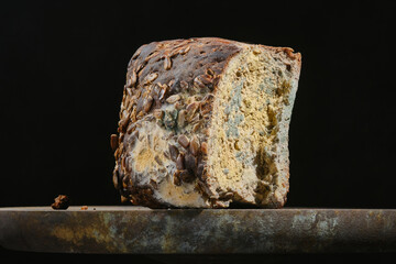 Yellow and green moldy fungus on food. Fluffy spores mold on a bread. Selective focus