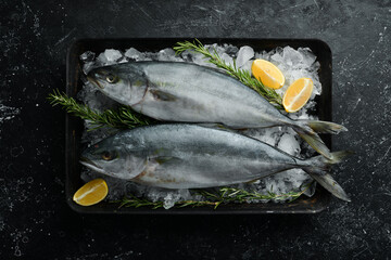 Two fish Tuna with lemon, rosemary and spices on ice. Top view. Flat lay.