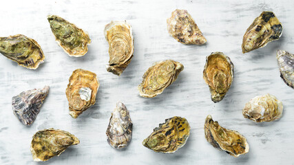 Closed fresh oysters on a white wooden background. Free space for your text. Seafood. Flat lay.
