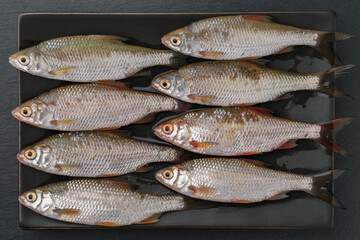 Fresh fish on a black plate, vegetarian food, health eating, simplicity, closeup, view from above