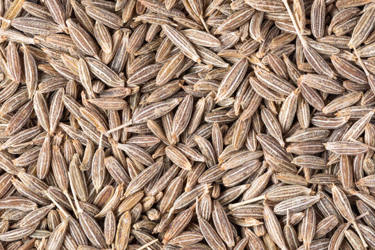 Dried cumin seeds close up, organic food, cumin seeds background, food