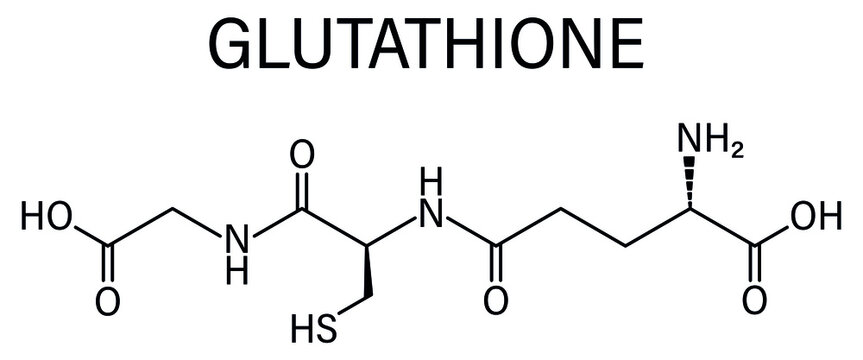 Glutathione (reduced glutathione, GSH) endogenous antioxidant molecule. Skeletal formula.