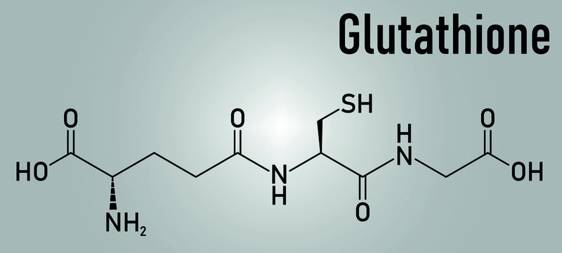Glutathione (reduced glutathione, GSH) endogenous antioxidant molecule. Skeletal formula.