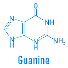 Obraz premium Guanine (G) purine nucleobase molecule. Base present in DNA and RNA. Skeletal formula.
