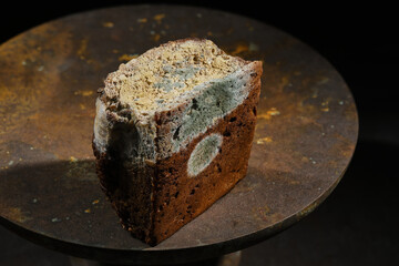Yellow and green moldy fungus on food. Fluffy spores mold on a bread. Selective focus