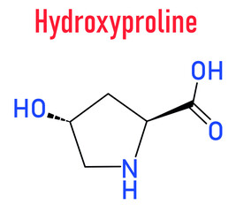 Hydroxyproline (Hyp) amino acid. Essential component of collagen. Skeletal formula.