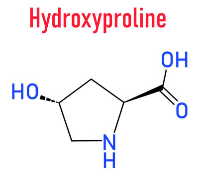 Hydroxyproline (Hyp) amino acid. Essential component of collagen. Skeletal formula.