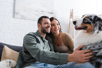 joyful young couple cuddling australian shepherd dog in living room.