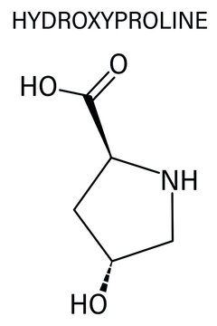 Hydroxyproline (Hyp) amino acid. Essential component of collagen. Skeletal formula.