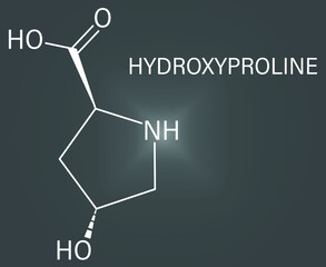 Hydroxyproline (Hyp) amino acid. Essential component of collagen. Skeletal formula.