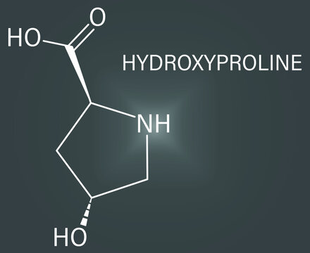 Hydroxyproline (Hyp) amino acid. Essential component of collagen. Skeletal formula.