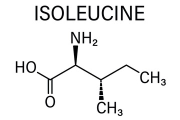 Isoleucine (L-isoleucine, Ile, I) amino acid molecule. Skeletal formula.