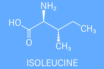 Isoleucine (L-isoleucine, Ile, I) amino acid molecule. Skeletal formula.