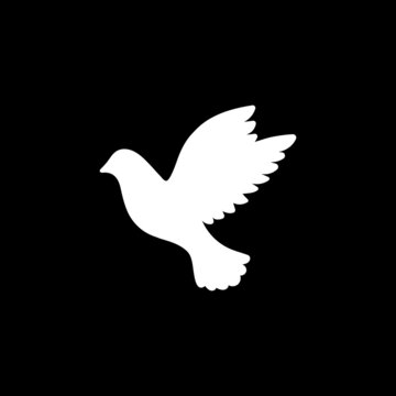 White dove of peace on a black background. No war. We mourn for the dead