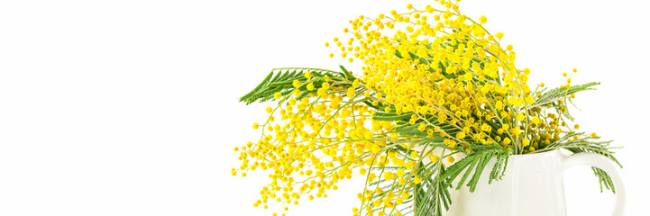 Spring flower a mimosa on a white background. Selective focus. Copy space
